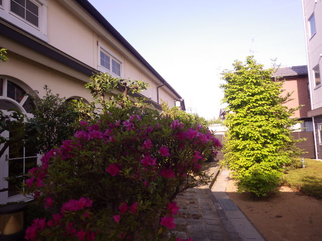 イメージ 1