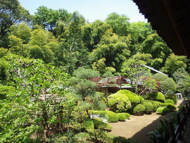 イメージ 12