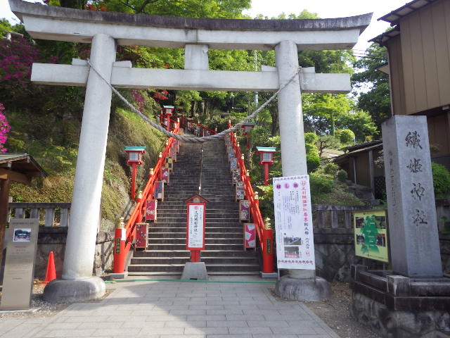 イメージ 3