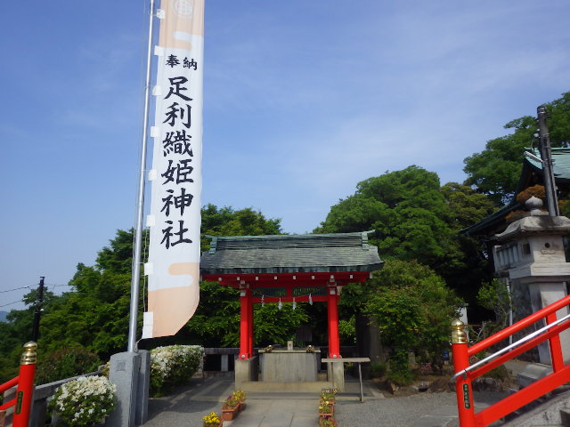 イメージ 4