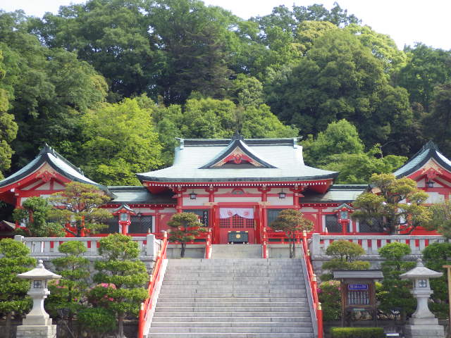 イメージ 5