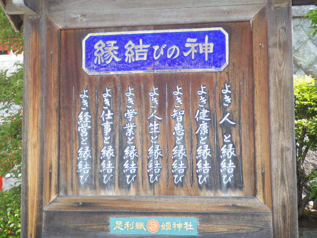 イメージ 6