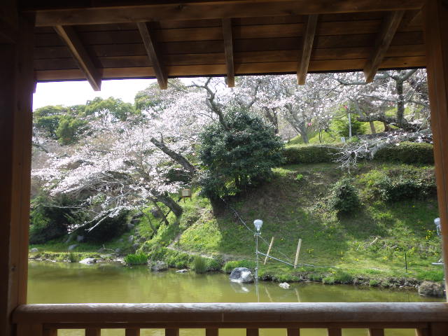 イメージ 12