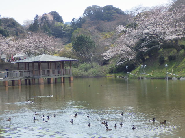イメージ 13