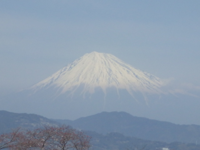 イメージ 16