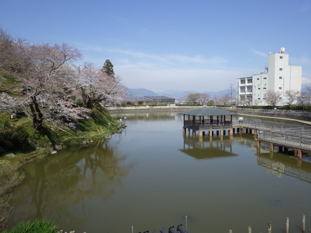 イメージ 2