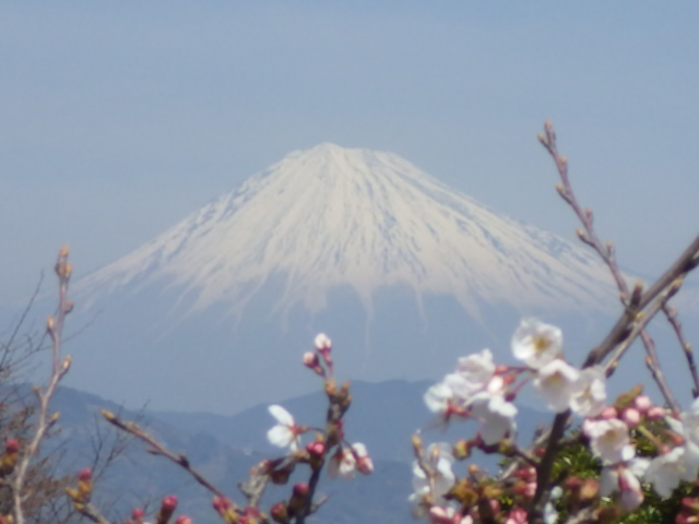 イメージ 5