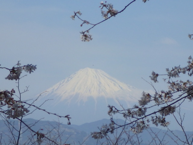 イメージ 9