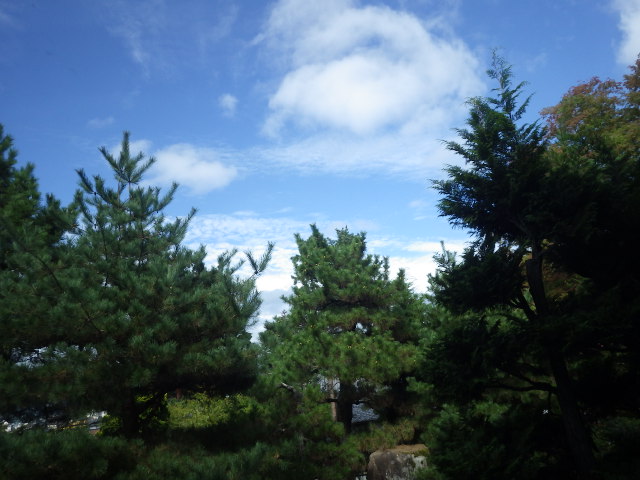 イメージ 16
