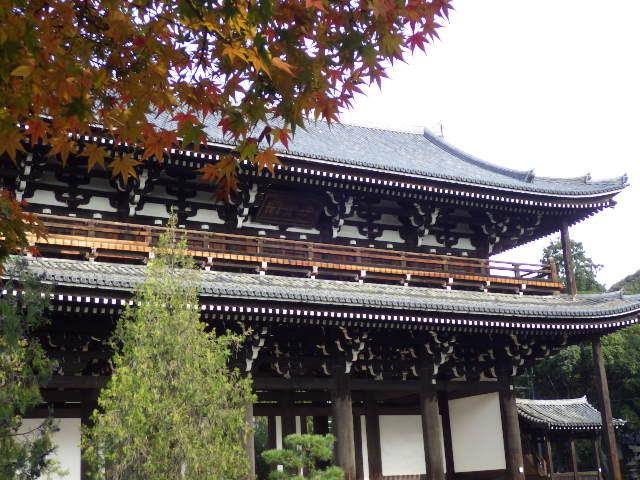 イメージ 15