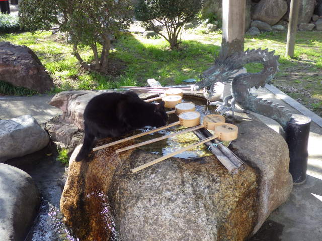 イメージ 9