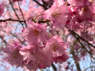 イメージ 11