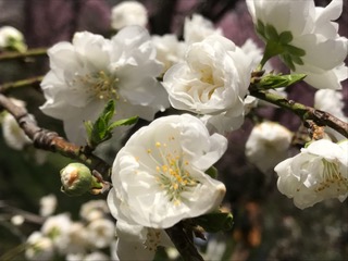 イメージ 12