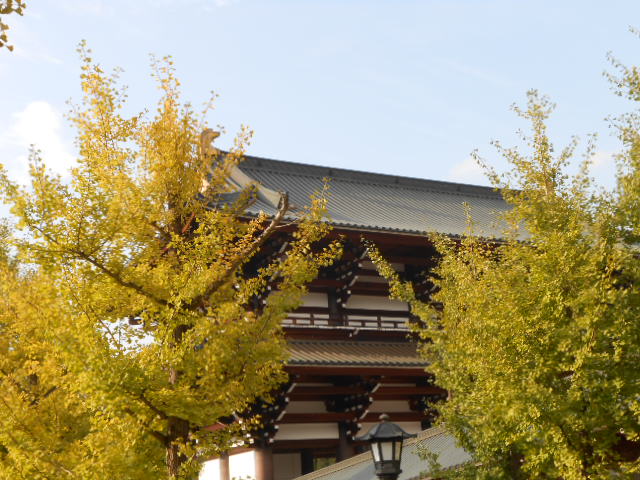 イメージ 13