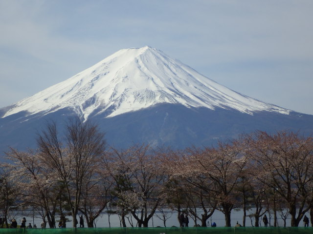イメージ 13