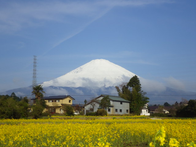 イメージ 5