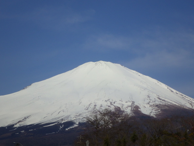 イメージ 6