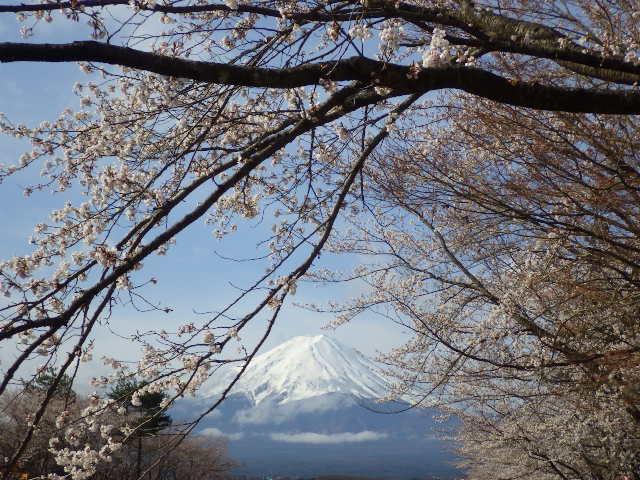 イメージ 9
