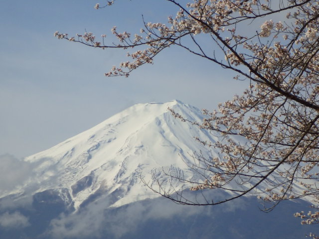 イメージ 10