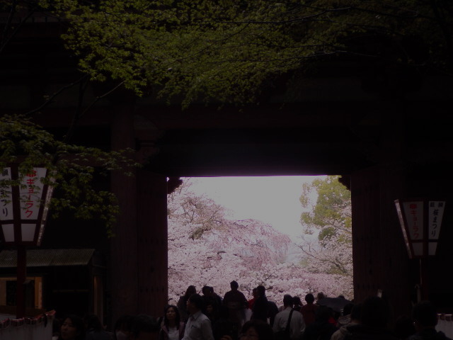 イメージ 11