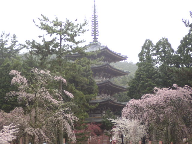 イメージ 12