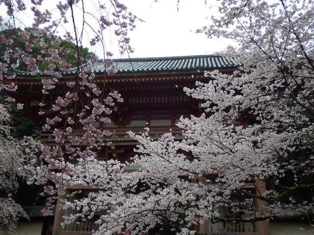 イメージ 10