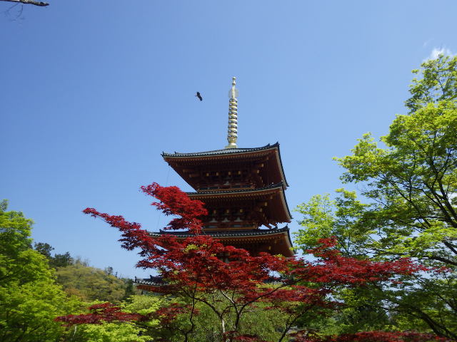 イメージ 18