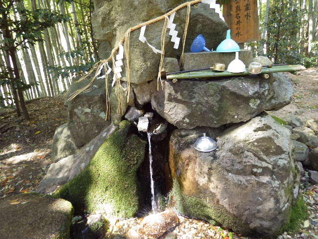 イメージ 4