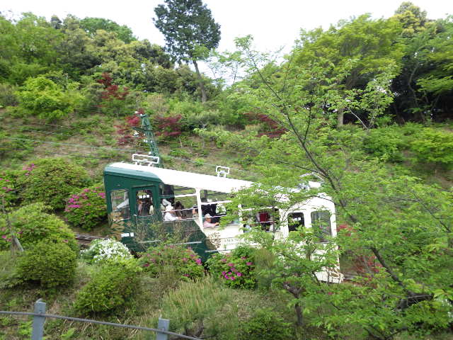 イメージ 8