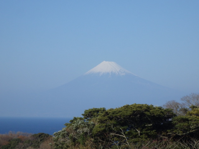 イメージ 8