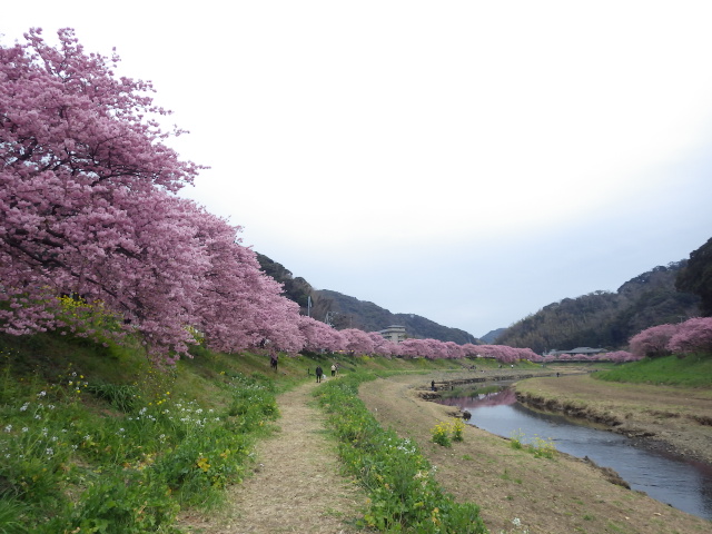 イメージ 19