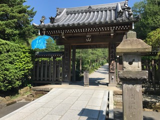 イメージ 11
