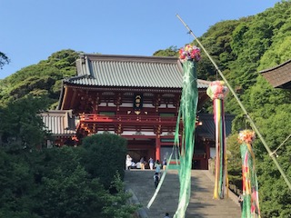 イメージ 15