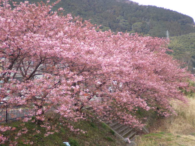 イメージ 4