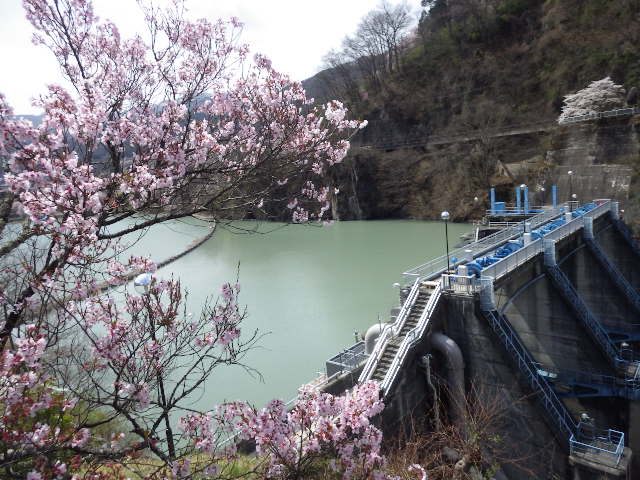 イメージ 12