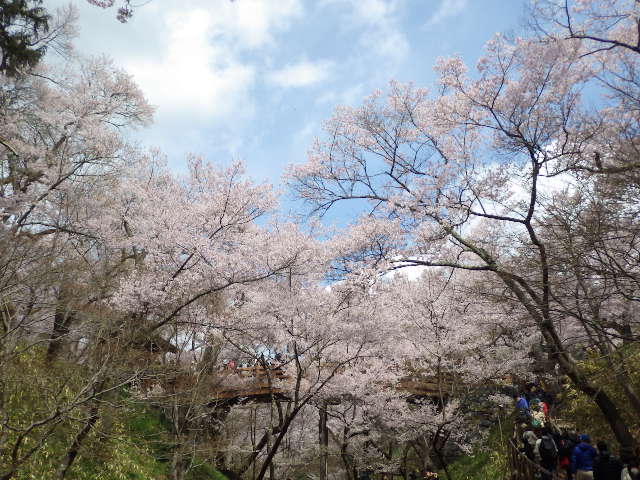 イメージ 18