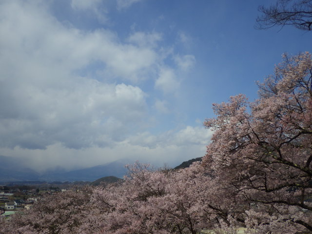 イメージ 9