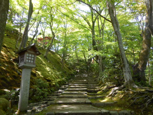 イメージ 12