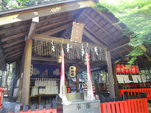 イメージ 17