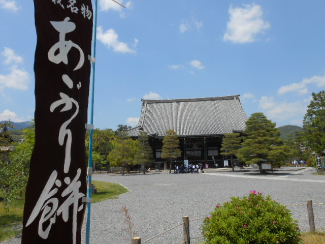 イメージ 5