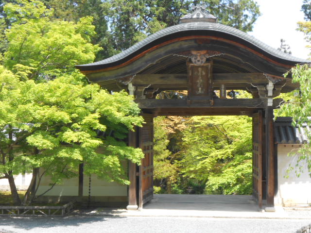 イメージ 8