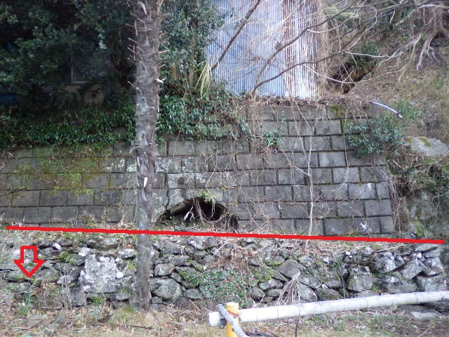 イメージ 9