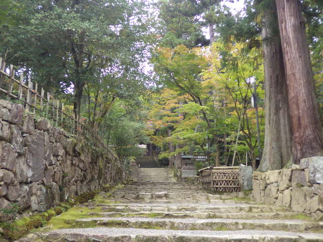 イメージ 8