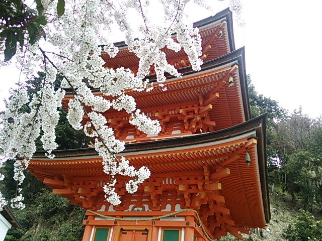 イメージ 5