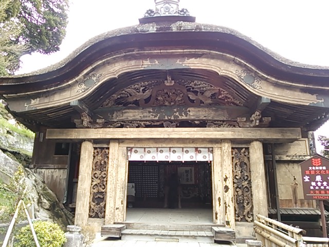 イメージ 7