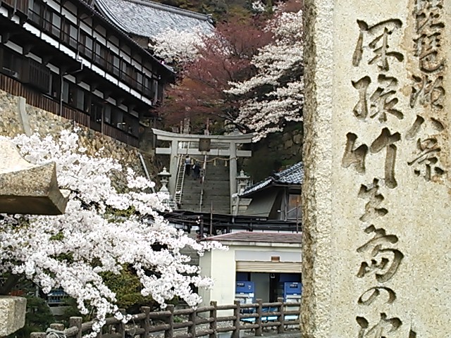イメージ 12
