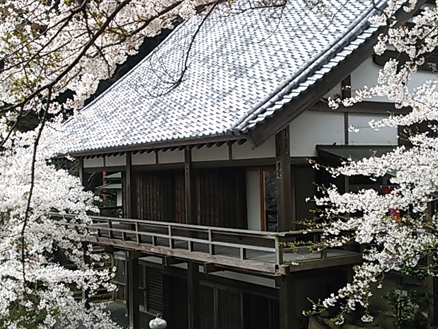 イメージ 13