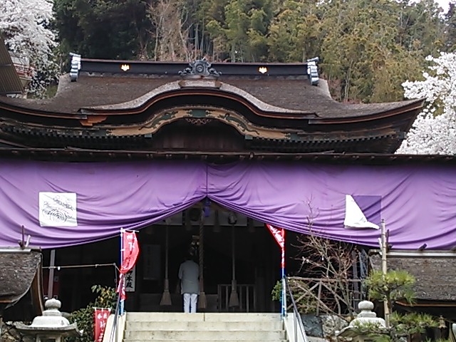 イメージ 14