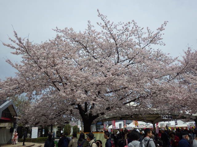 イメージ 1