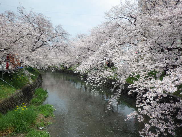 イメージ 3